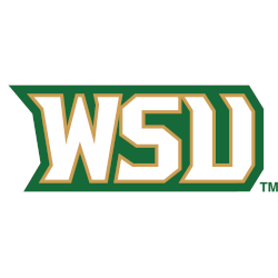 Wright State Raiders Wordmark Logo 2017 - 2022